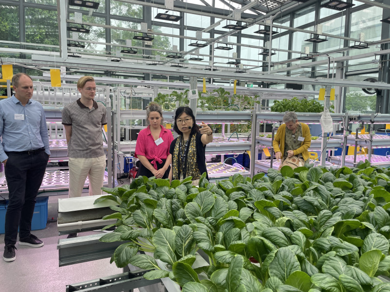 Studiereis Singapore