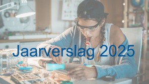 Uitvoering en impact