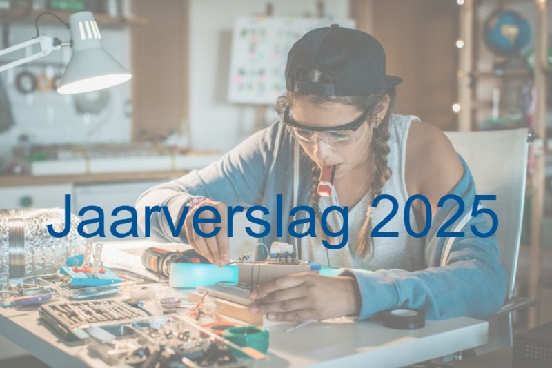 Uitvoering en impact